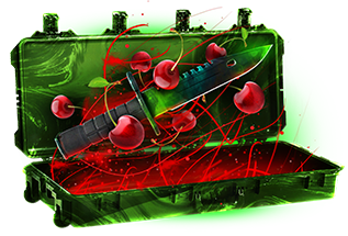 hellcase